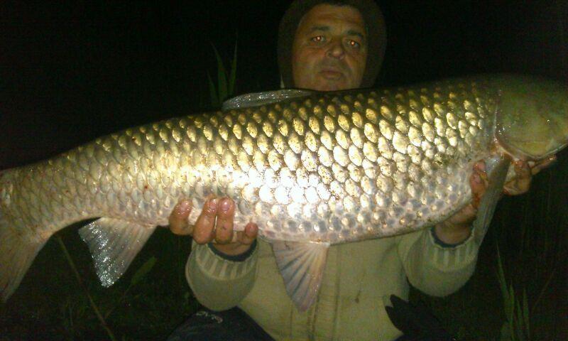 2014 Balta Lazar Alexandria - img-20140506-wa0005.jpg